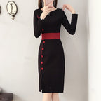 Women's Long Sleeved Dress