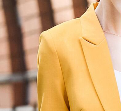 Women's Solid Color Professional Suit