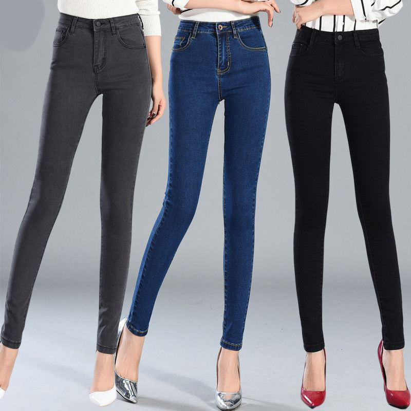 Women's Slim Fit Elastic Jeans